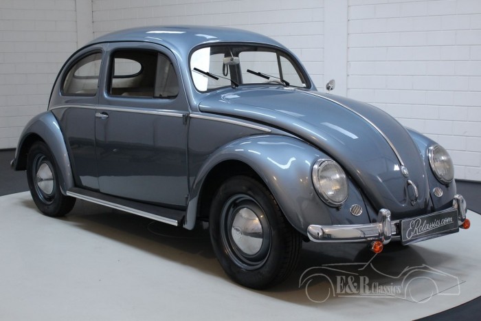 huilen Bekwaamheid gebied Volkswagen Beetle Oval 1955 for sale at ERclassics